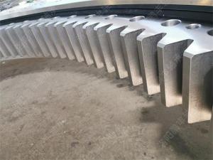 單排球式回轉支承(內齒式)